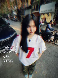 Paranomic view 