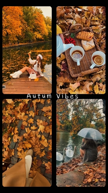autumn vibes 