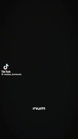 boiadeiro