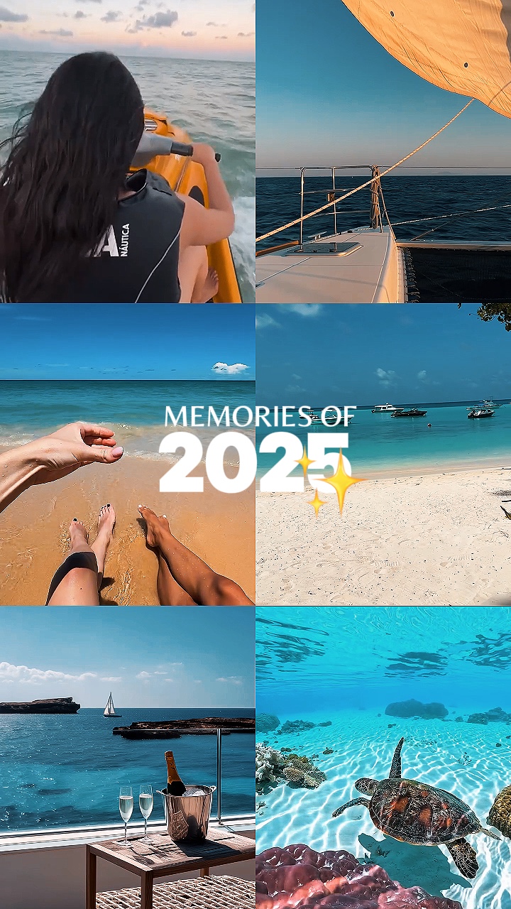 2025년의 추억 