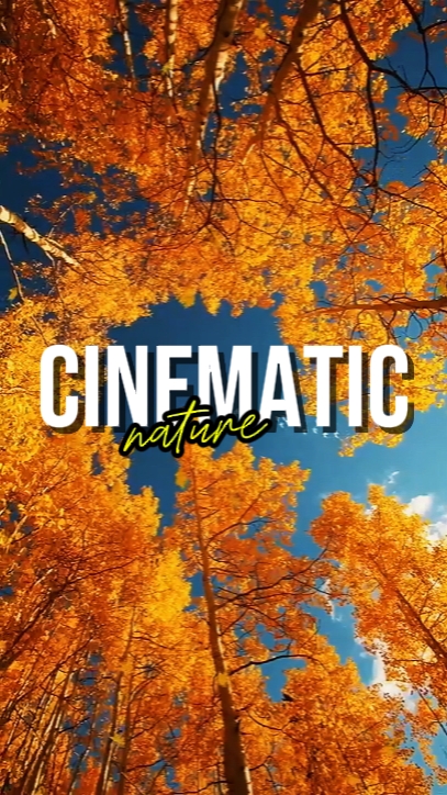 CINEMATIC NATURE