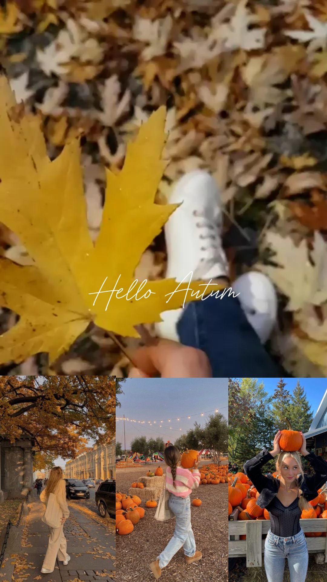 Bonjour automne