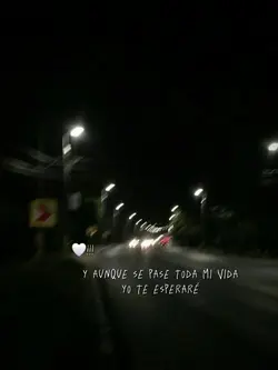 yo te esperare
