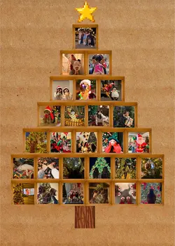 Christmas tree trend