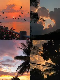 pemandangan senja