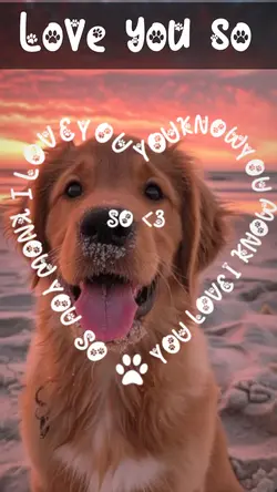 Love You So