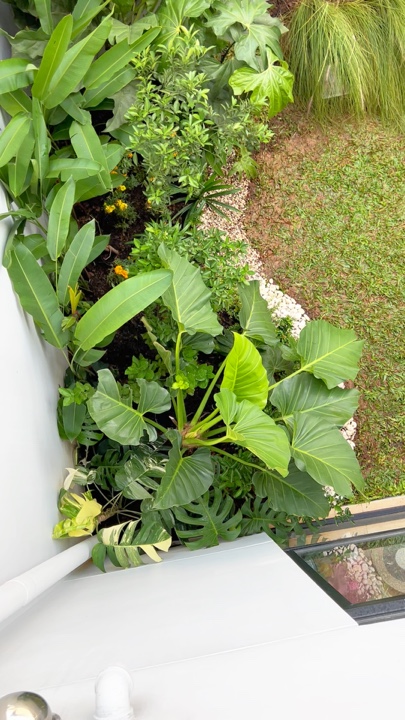 Mini Jardim