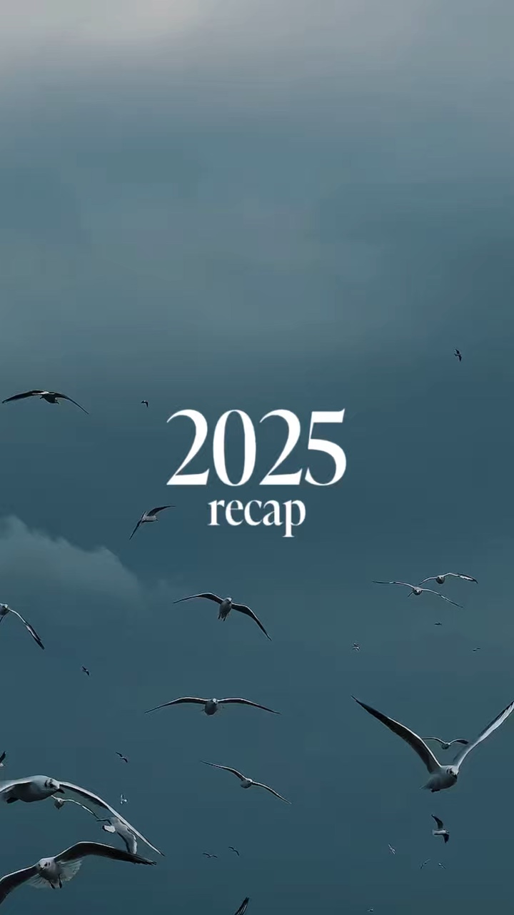 Resumen de 2025