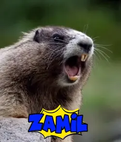 ZAMIL