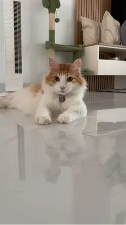 Majikan tak tau diri