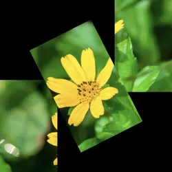 ANIMATIONS OF FUN