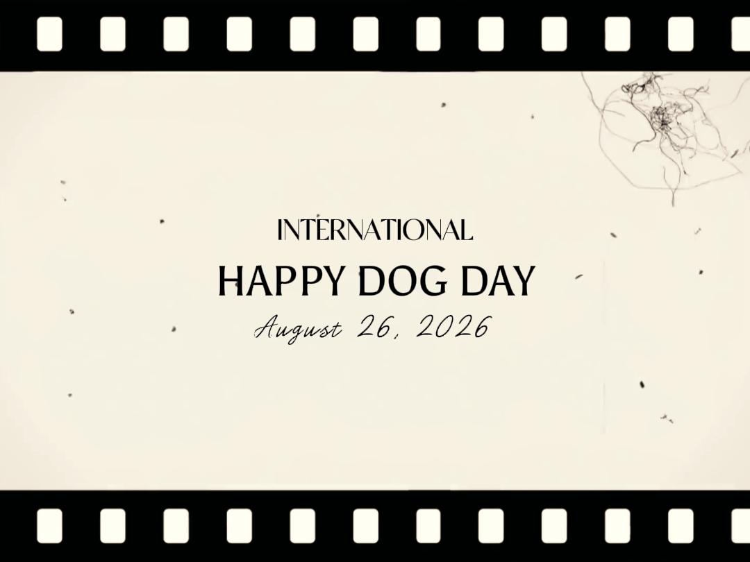 FELIZ DIA DO CACHORRO 