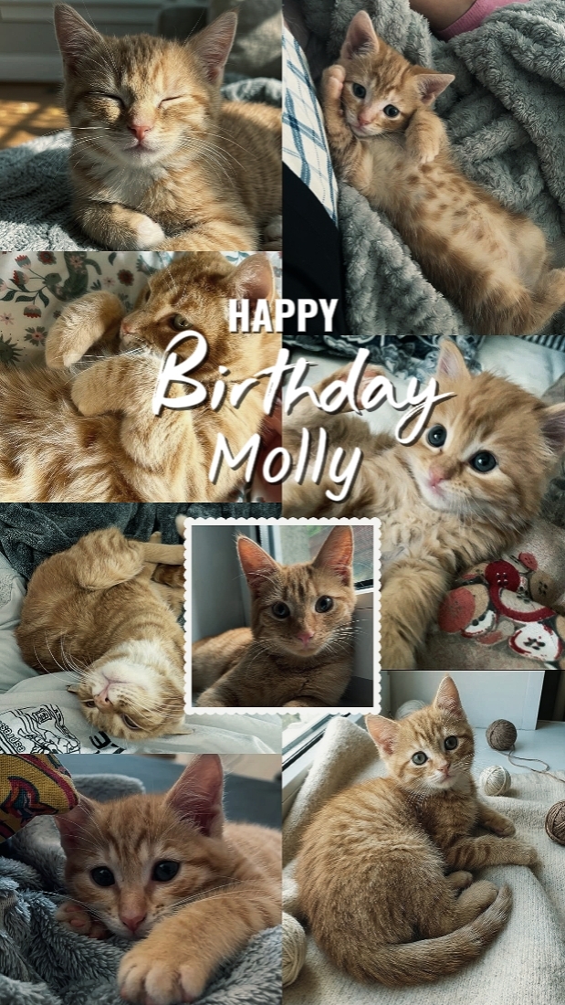 Birthday Molly