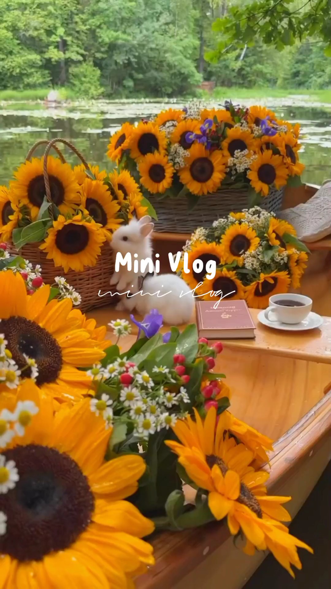 Mini Vlog 