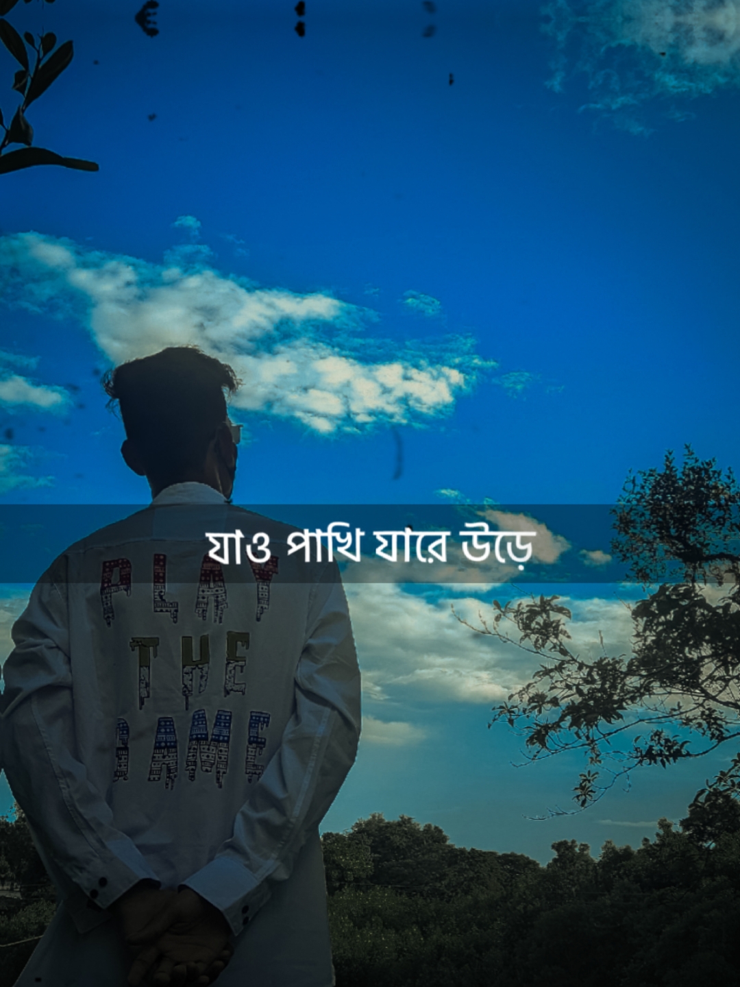 যাও পাখি বলো তার