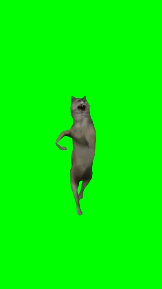 Dancing Wolf 

