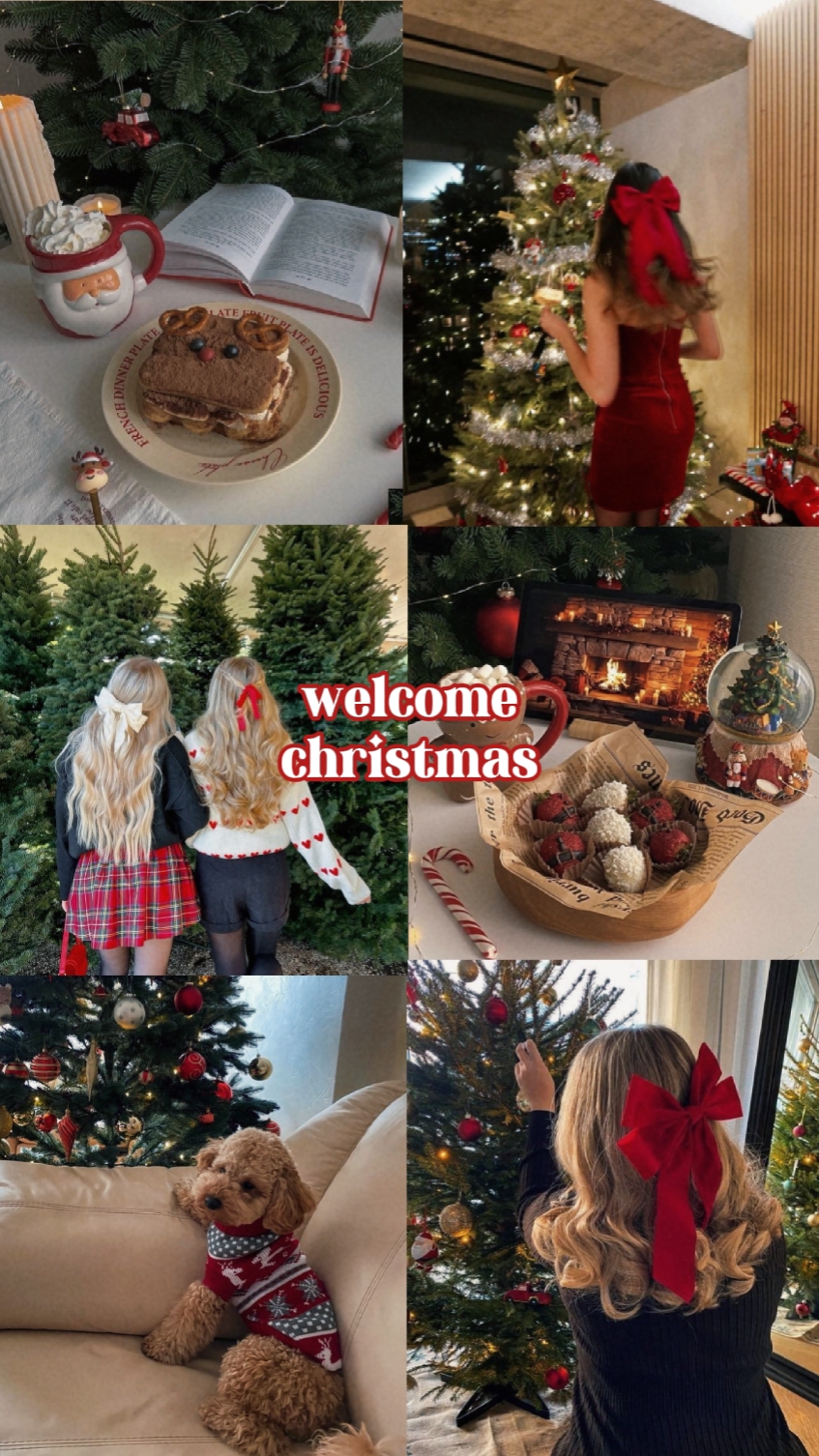 Christmas Transition