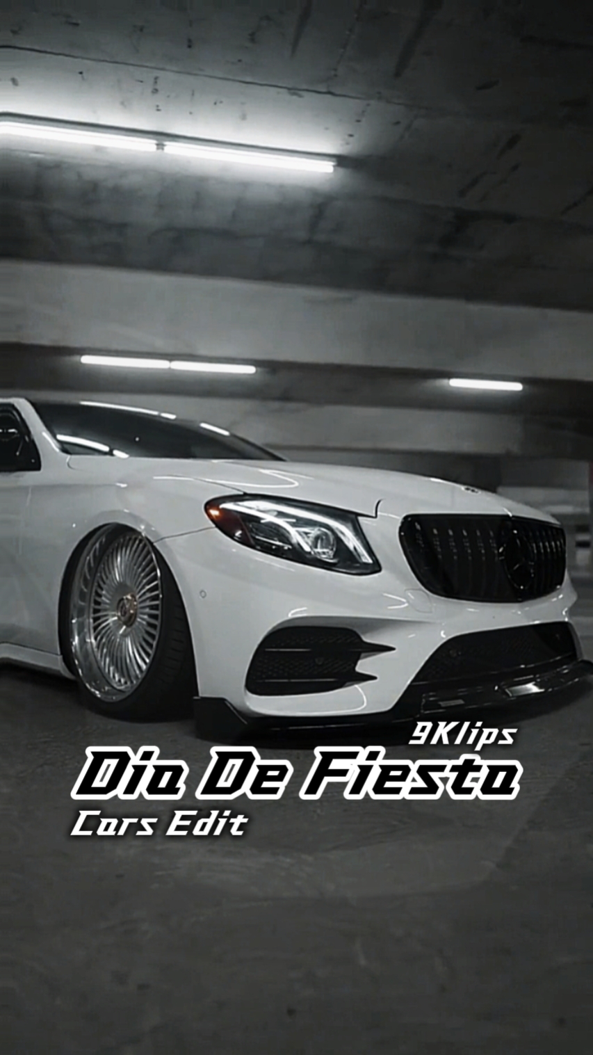 Dia De Fiesta