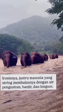 pray for sumatra