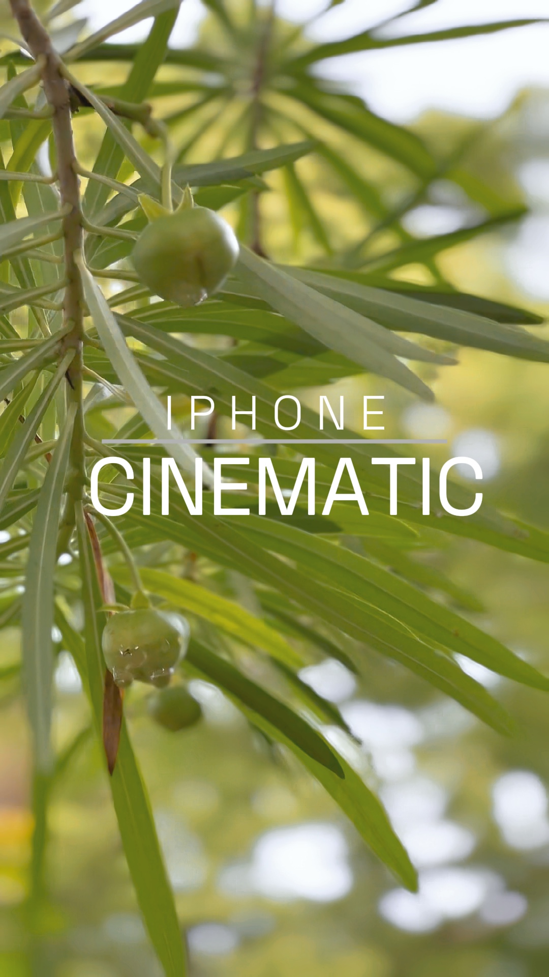 Iphone Cinematic V1