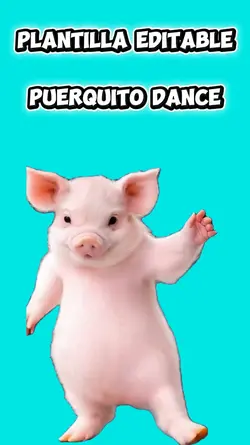 puerquito dance