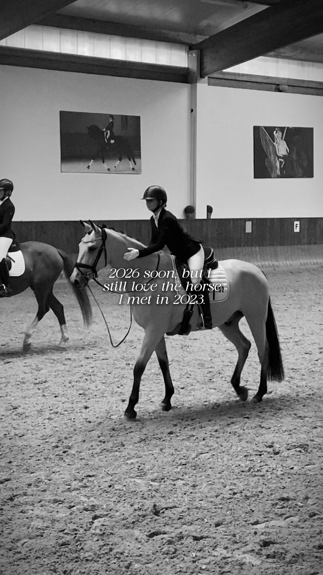CHEVAL QUE J'AI RENCONTRÉ EN 2023❤️‍🩹