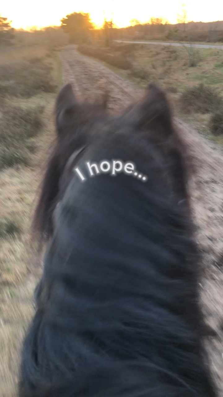 I hope your happy😁