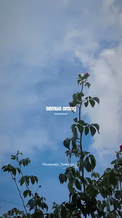 Ceria