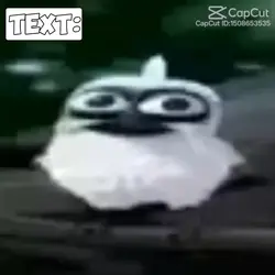 AAAAAAAAAAAAAAAAAAAA