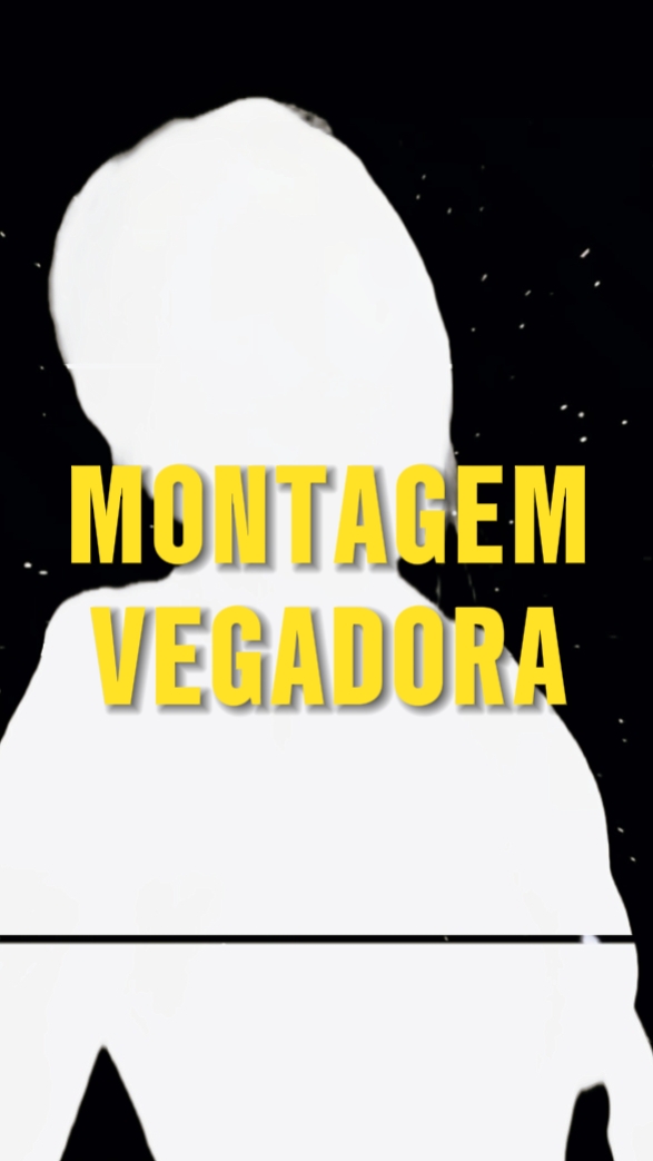 Montagem Vegona