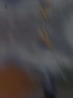 كل انجازات حياتي
