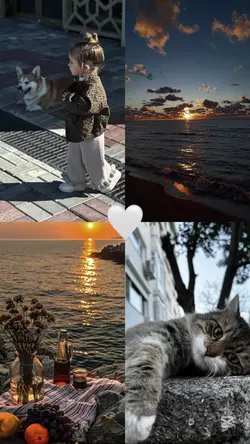 Keşfetlik video
