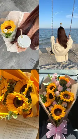 4รูป4ช่อง