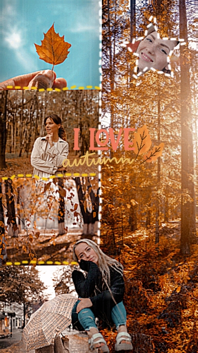 Herbst-Fotogitter