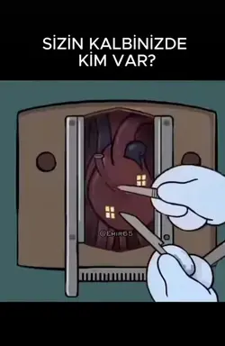 yeni akım 