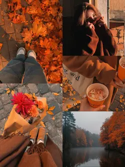 autumn vibes