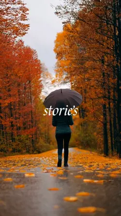 stories