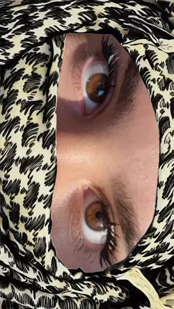 Habibi filter mask