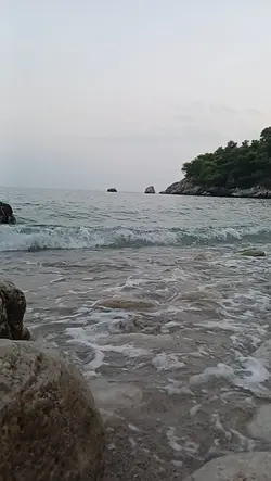 Satın alınamayan şey