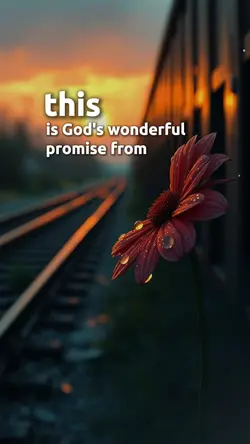 God's promise