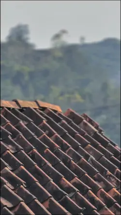 CINEMATIC SAY NO