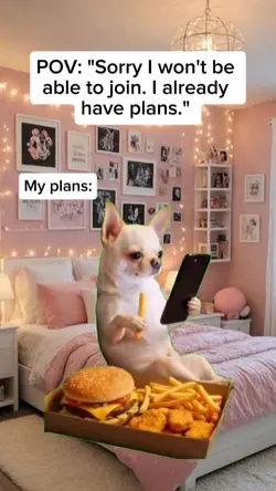 Dog and cat 