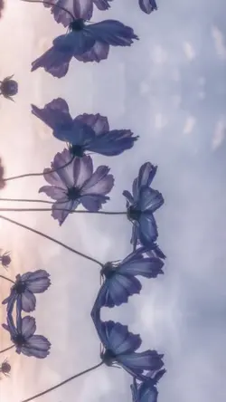 おかえり(ﾘｸｴｽﾄ)ﾛﾝｸﾞver.