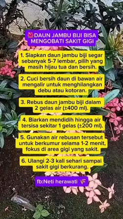 @neti HR