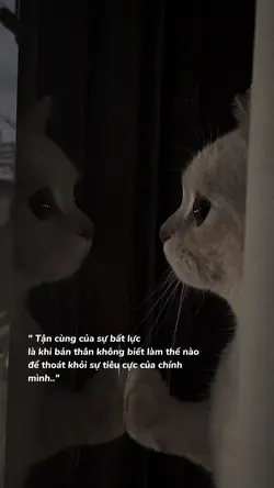 Caption tâm trạng 