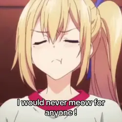 never meow for anyon