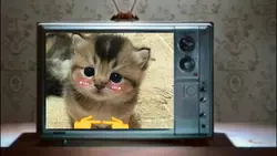 I-i-i-it-its a prank