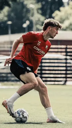 Template bola 