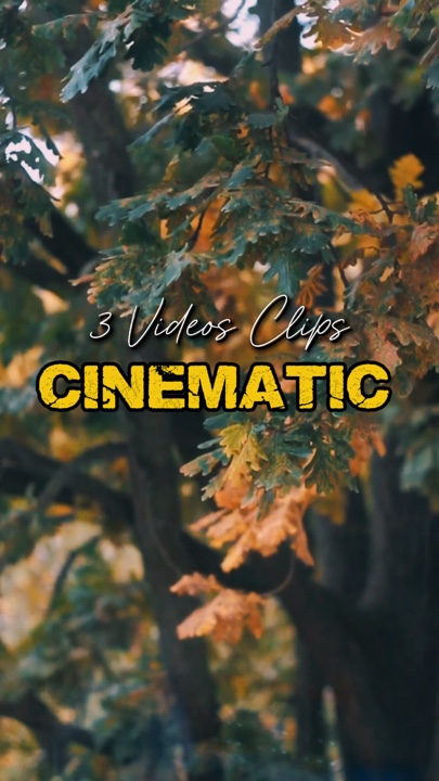 Cinematic 3 Videos 