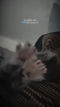 عشق تا مرگ💙🦋